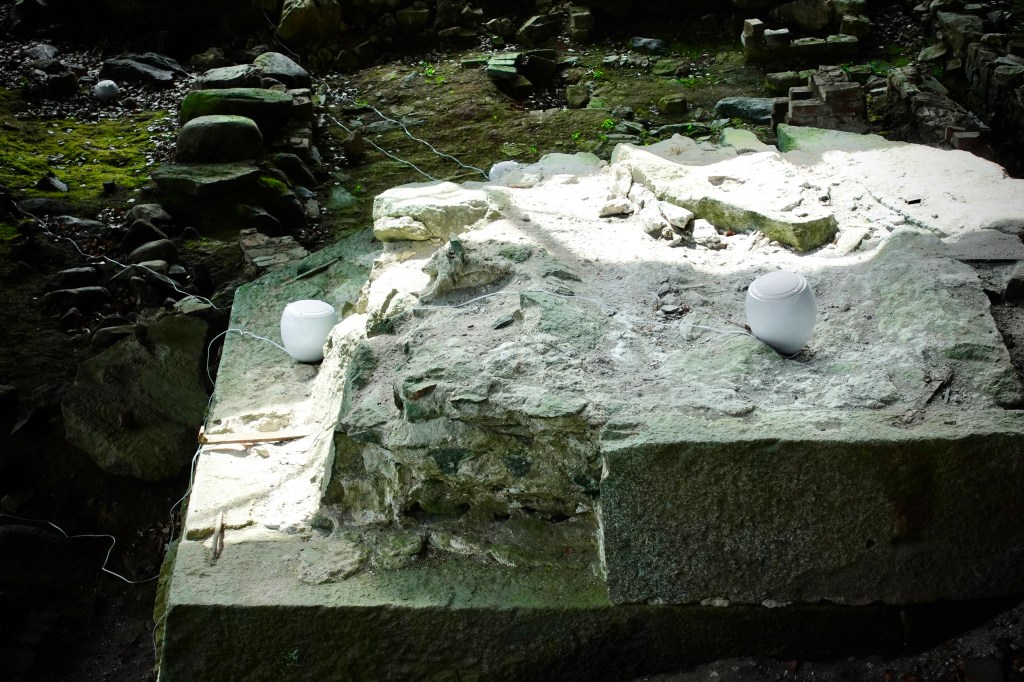 RE-DITUS installation view.