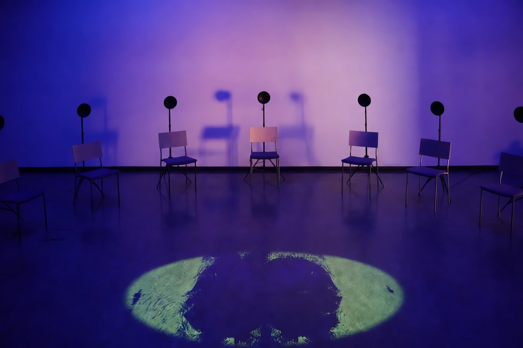 INTER, Held installation view.